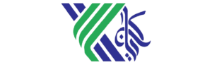web logo